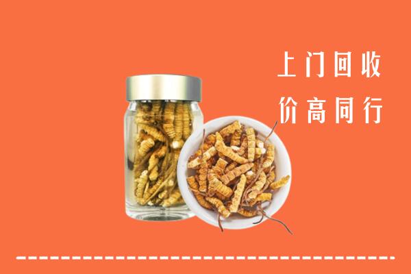宜宾长宁回收冬虫夏草